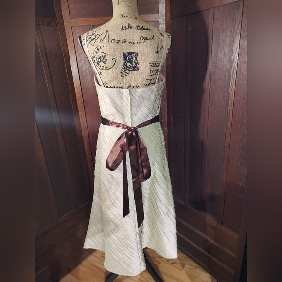 Watters and Watters Tan luminescent Formal Party Wedding Dress Size 10 NWT - Picture 6 of 7